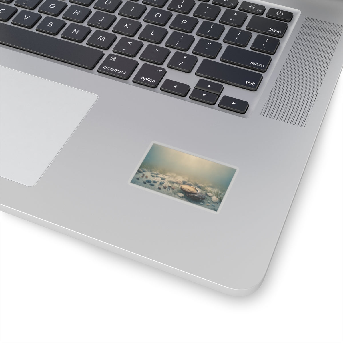 Scenic Nature — Shells Under Water — Kiss-Cut Sticker