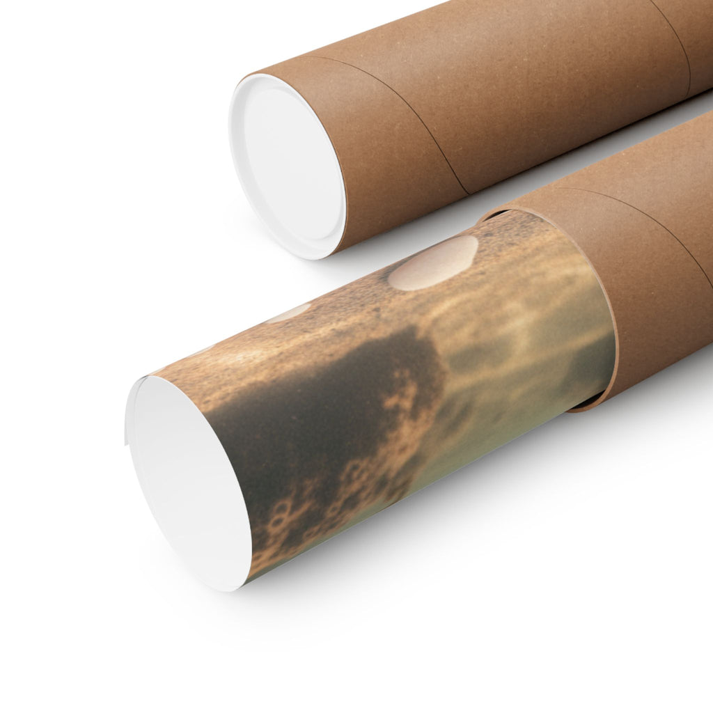 Scenic Nature — Shells Under Water — Matte Poster