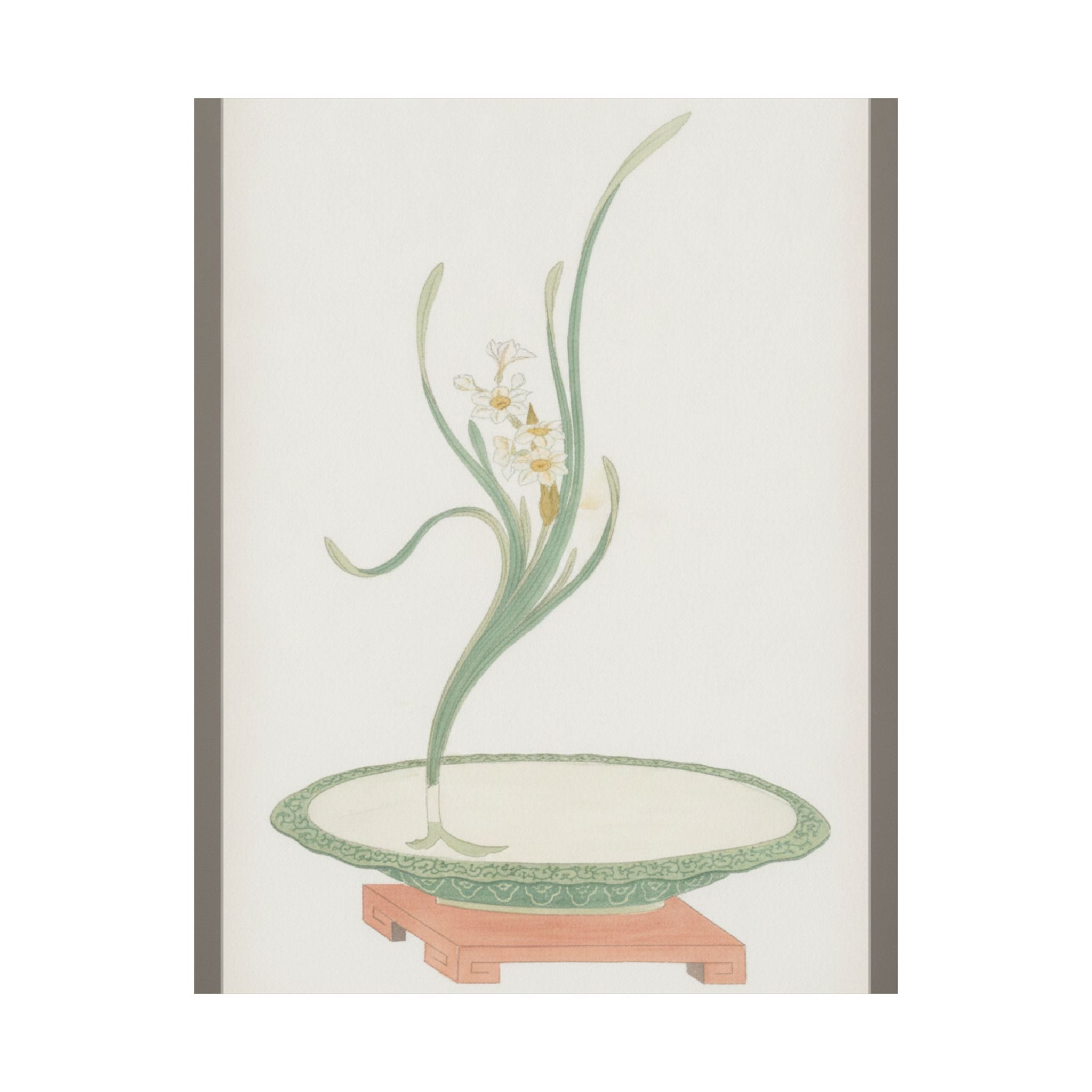 Watercolor — Flower Arrangement Of Suisen (Narcissus) In A Flat Green Dish — Matte Poster