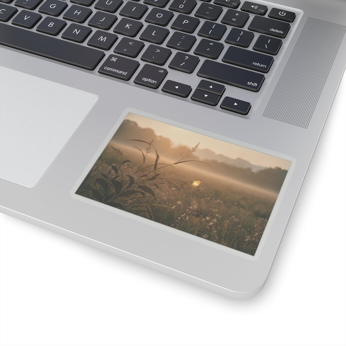 Scenic Nature — Tree Cricket (Matsumushi); Firefly (Hotaru), From The Picture Book Of Crawling C — Kiss-Cut Sticker