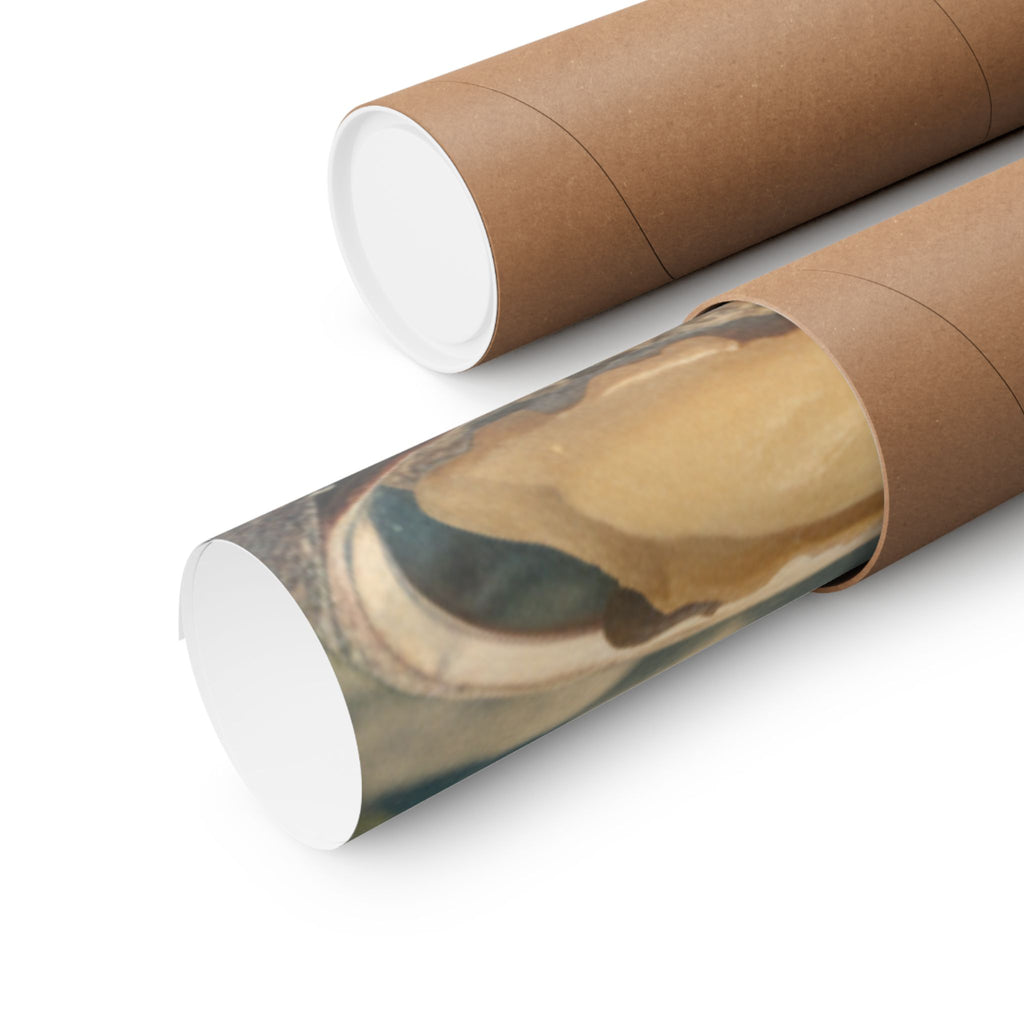 Scenic Nature — Shells Under Water — Matte Poster