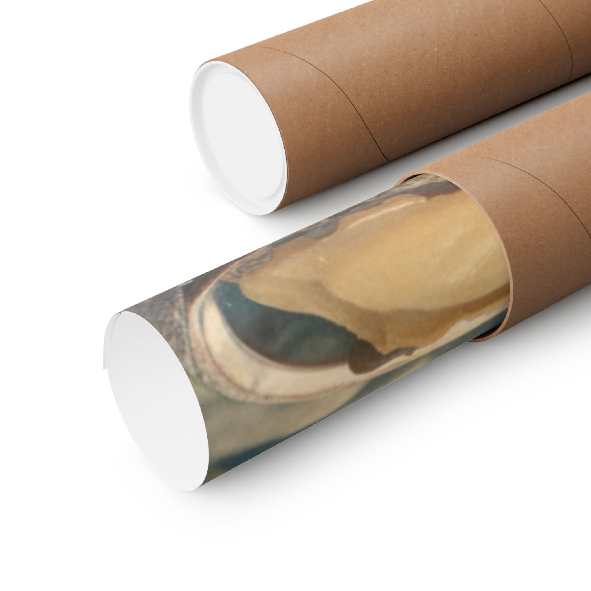 Scenic Nature — Shells Under Water — Matte Poster