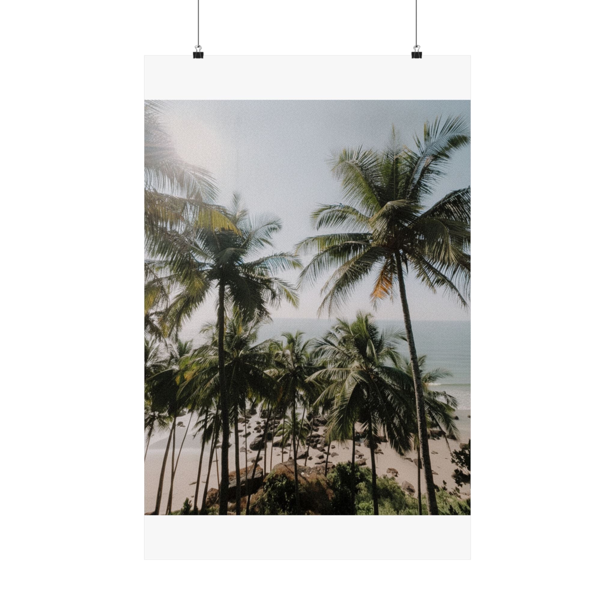Cinematic — Palm — Matte Poster