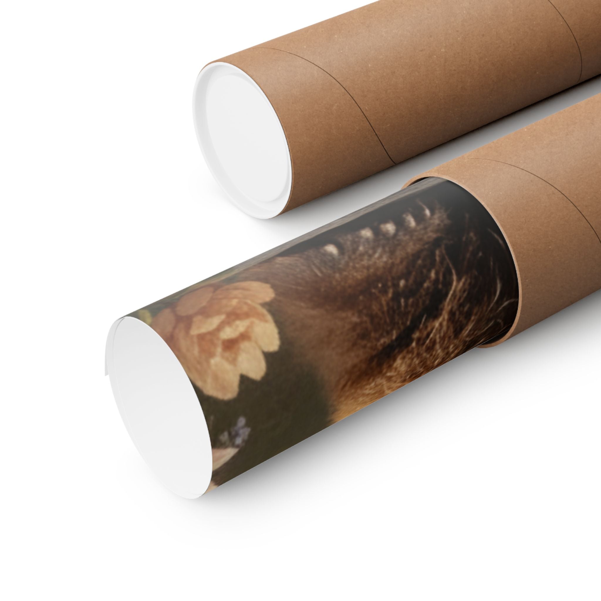 Scenic Nature — Bear — Matte Poster