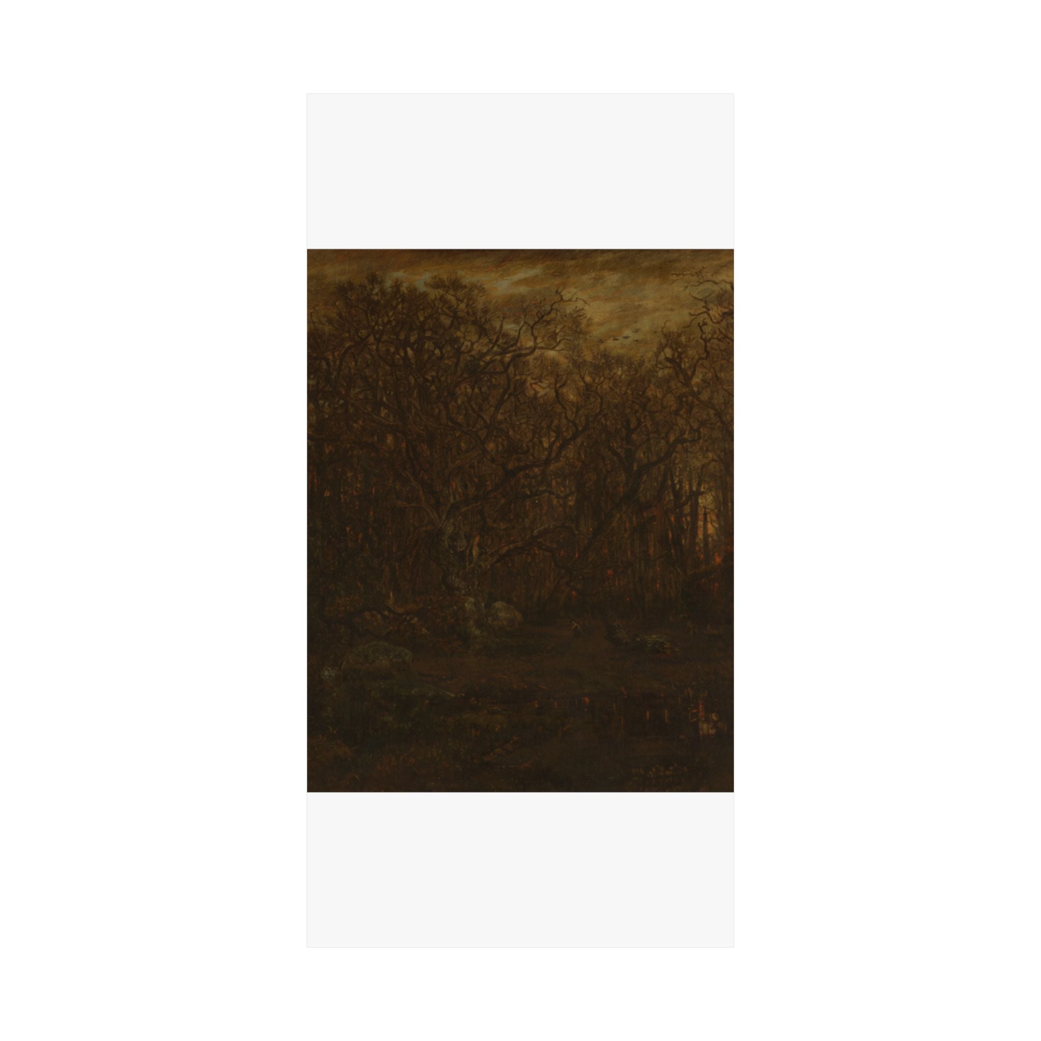 Scenic Nature — Forest — Matte Poster