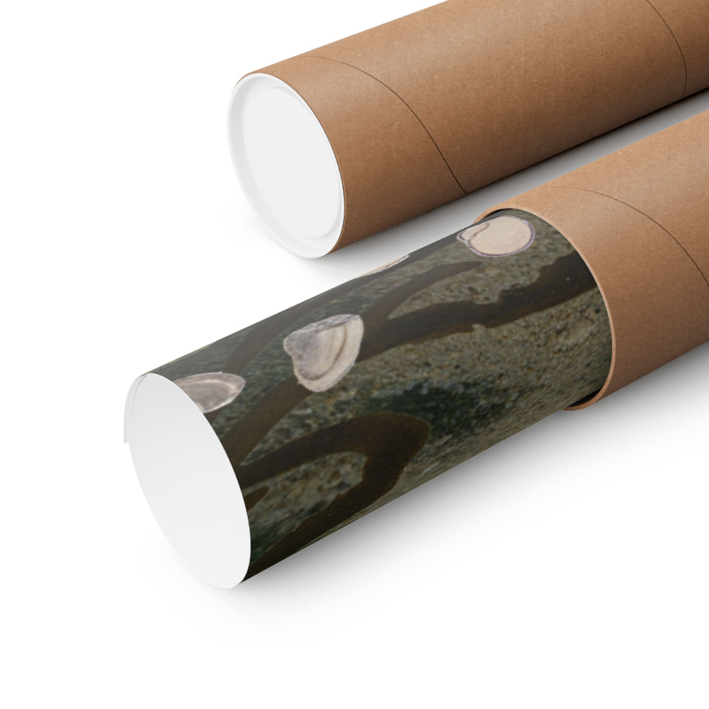 Scenic Nature — Shells Under Water — Matte Poster