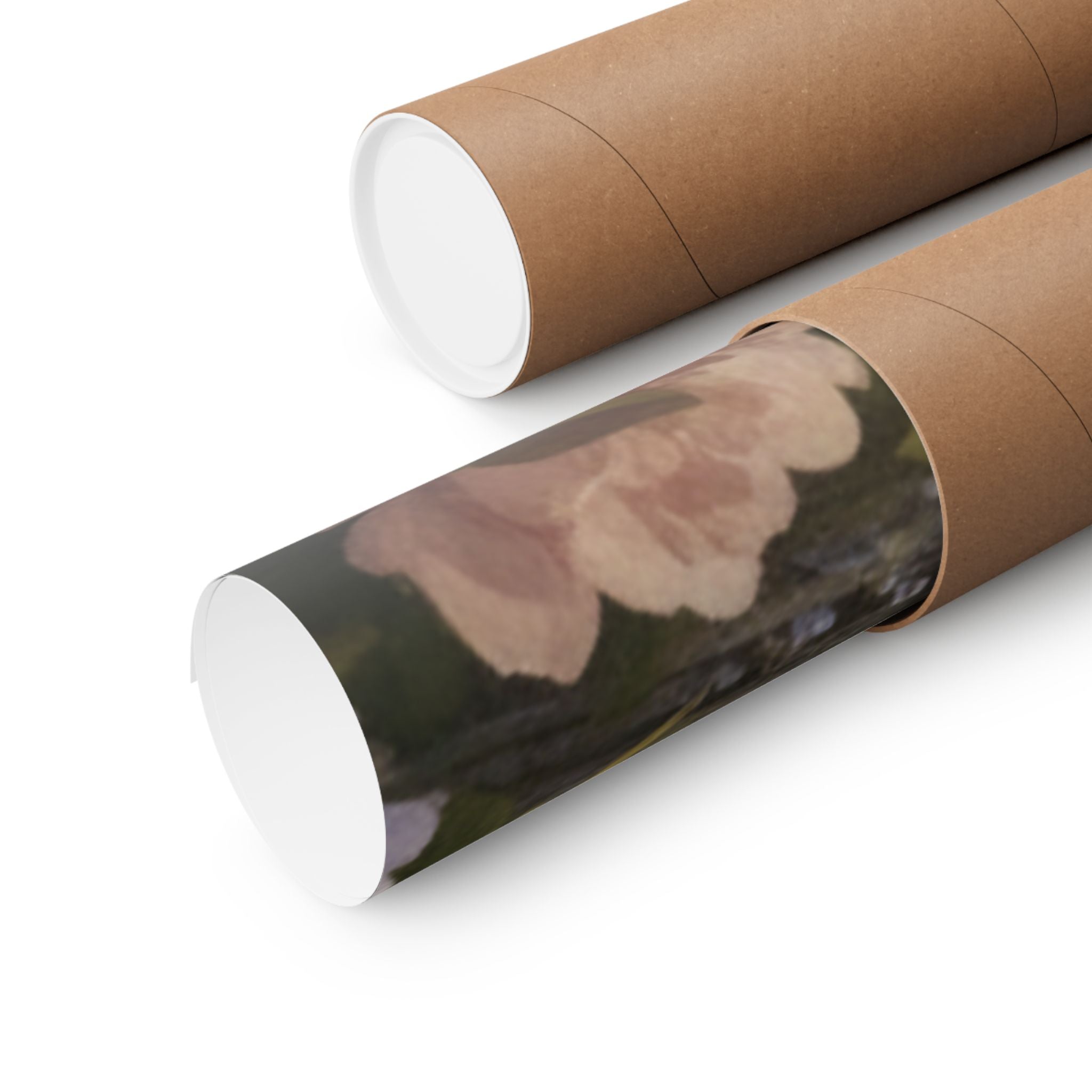 Scenic Nature — Bear — Matte Poster
