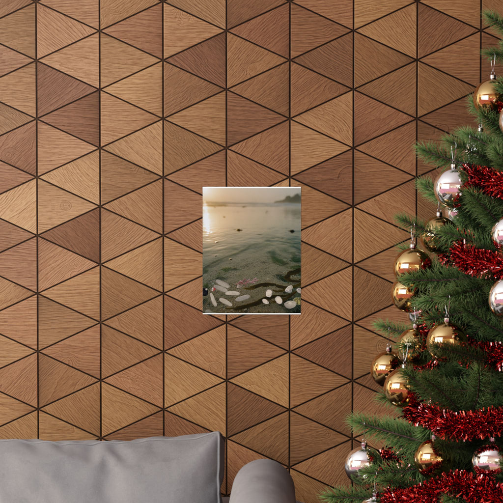 Scenic Nature — Shells Under Water — Matte Poster