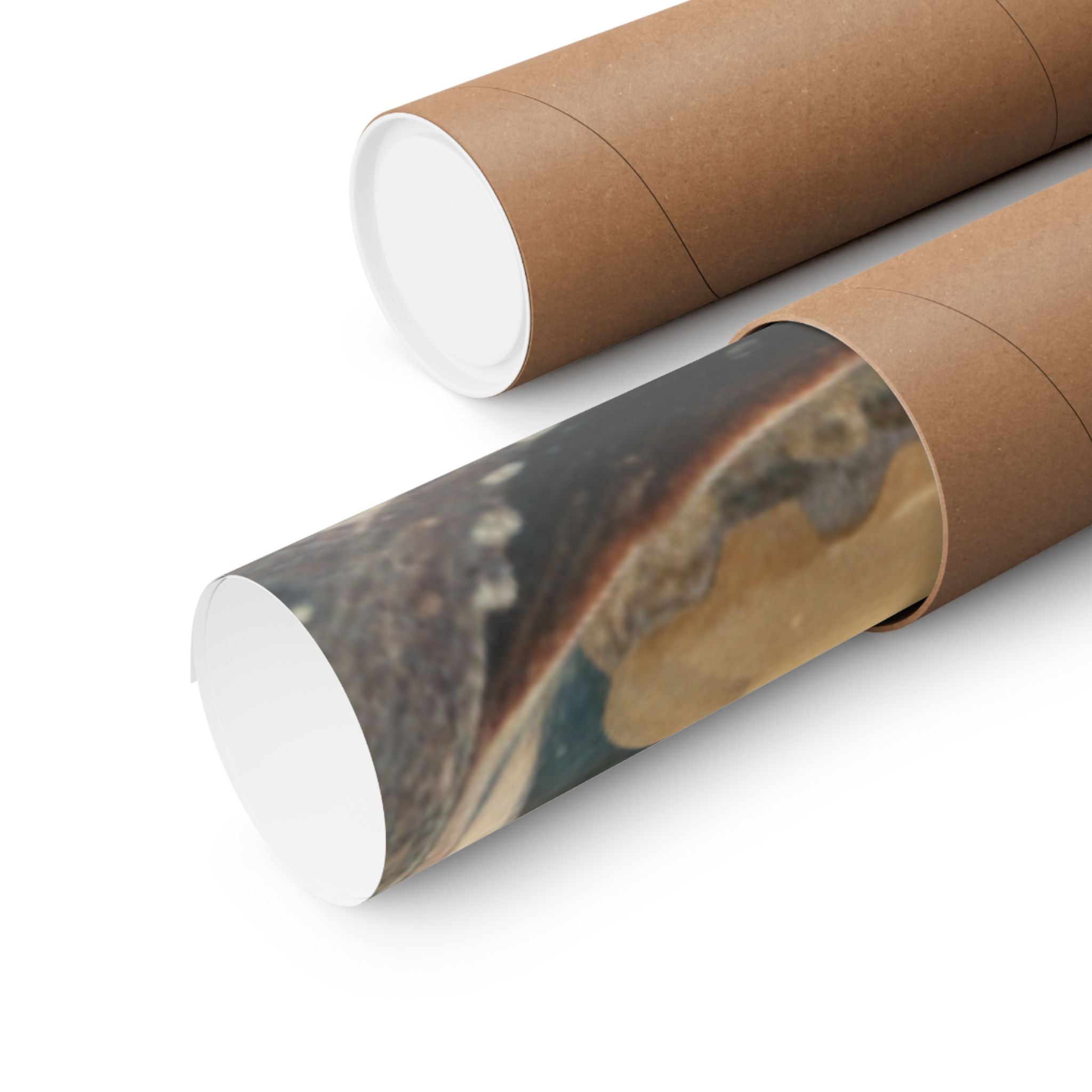 Scenic Nature — Shells Under Water — Matte Poster
