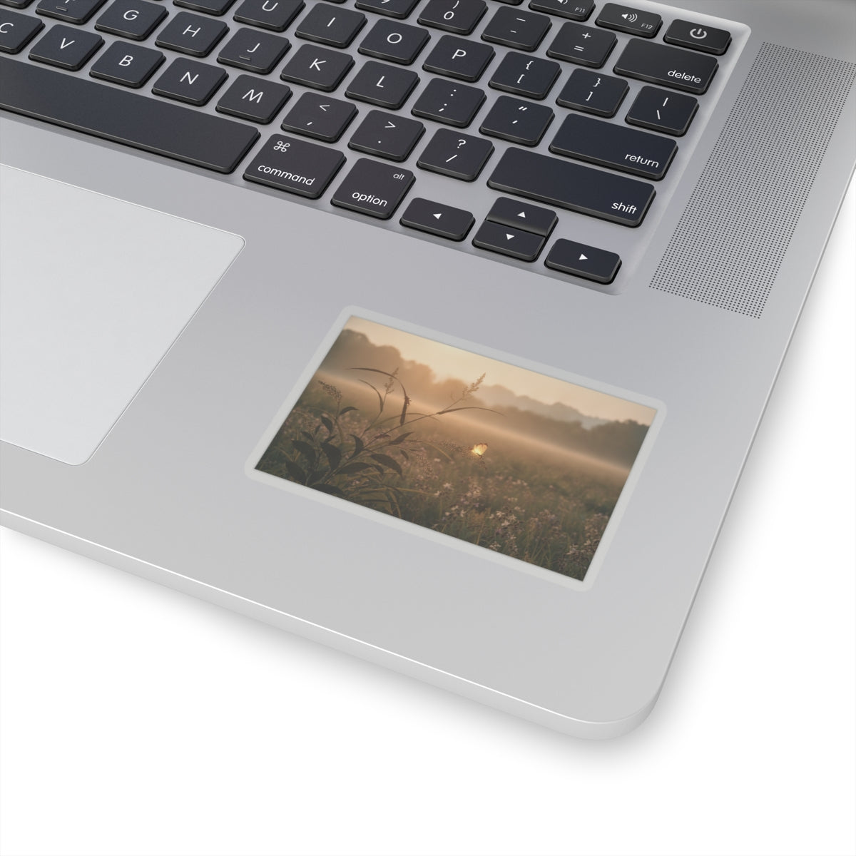 Scenic Nature — Tree Cricket (Matsumushi); Firefly (Hotaru), From The Picture Book Of Crawling C — Kiss-Cut Sticker