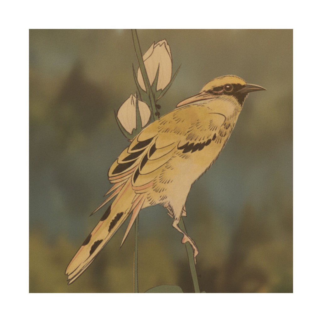 Scenic Nature — Black-Naped Oriole Perched On A Stem Of Rose Mallow — Matte Poster