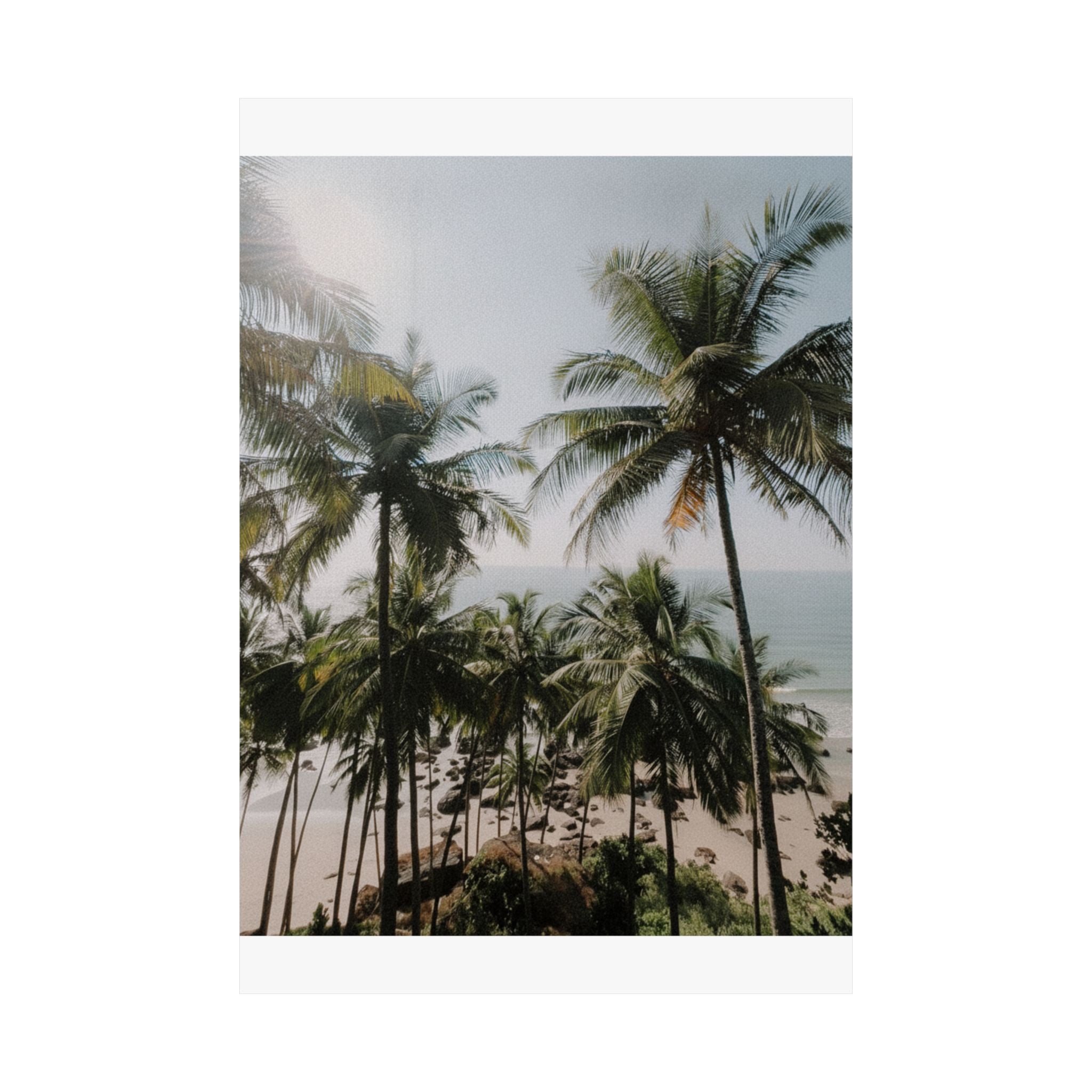Cinematic — Palm — Matte Poster