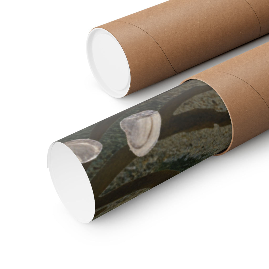 Scenic Nature — Shells Under Water — Matte Poster