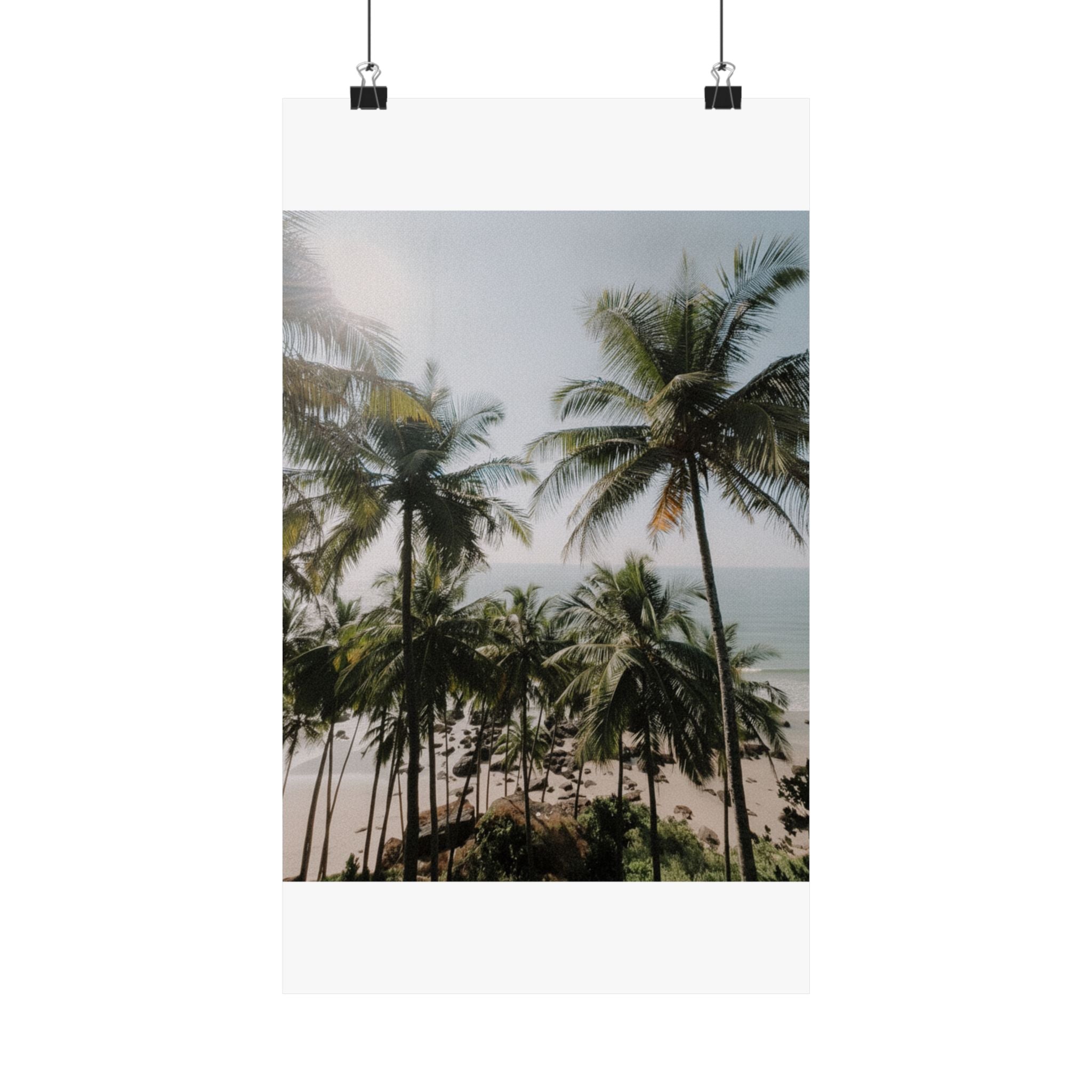 Cinematic — Palm — Matte Poster
