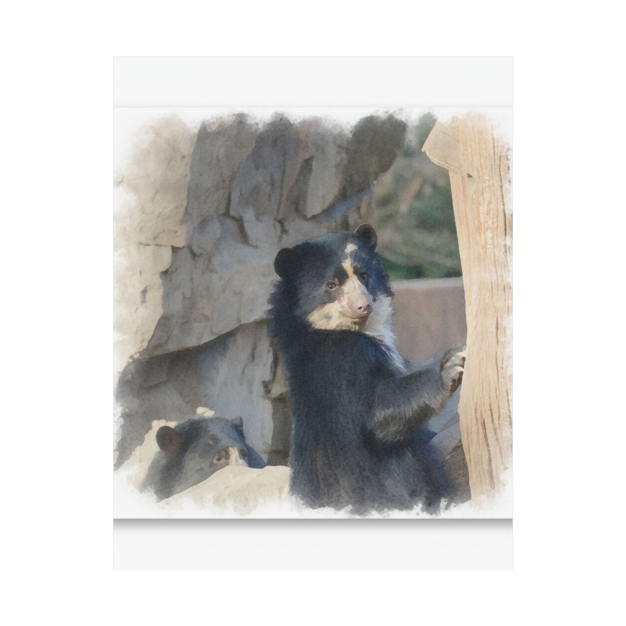 Watercolor — Bear — Matte Poster