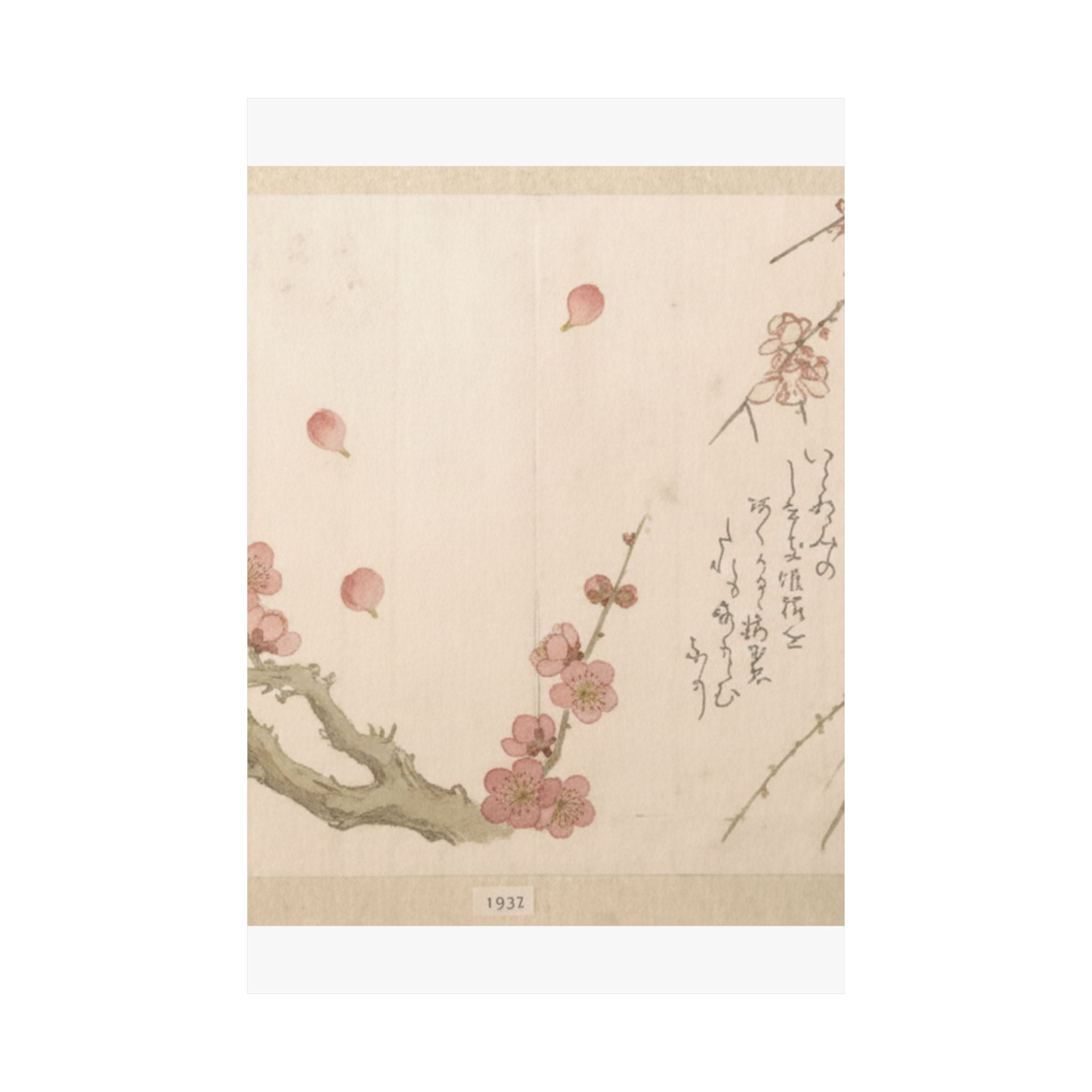 Botanical — Plum Blossom — Matte Poster