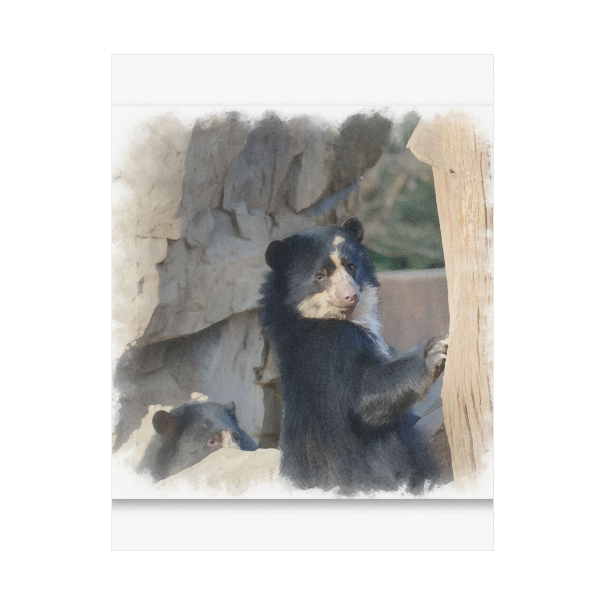Watercolor — Bear — Matte Poster