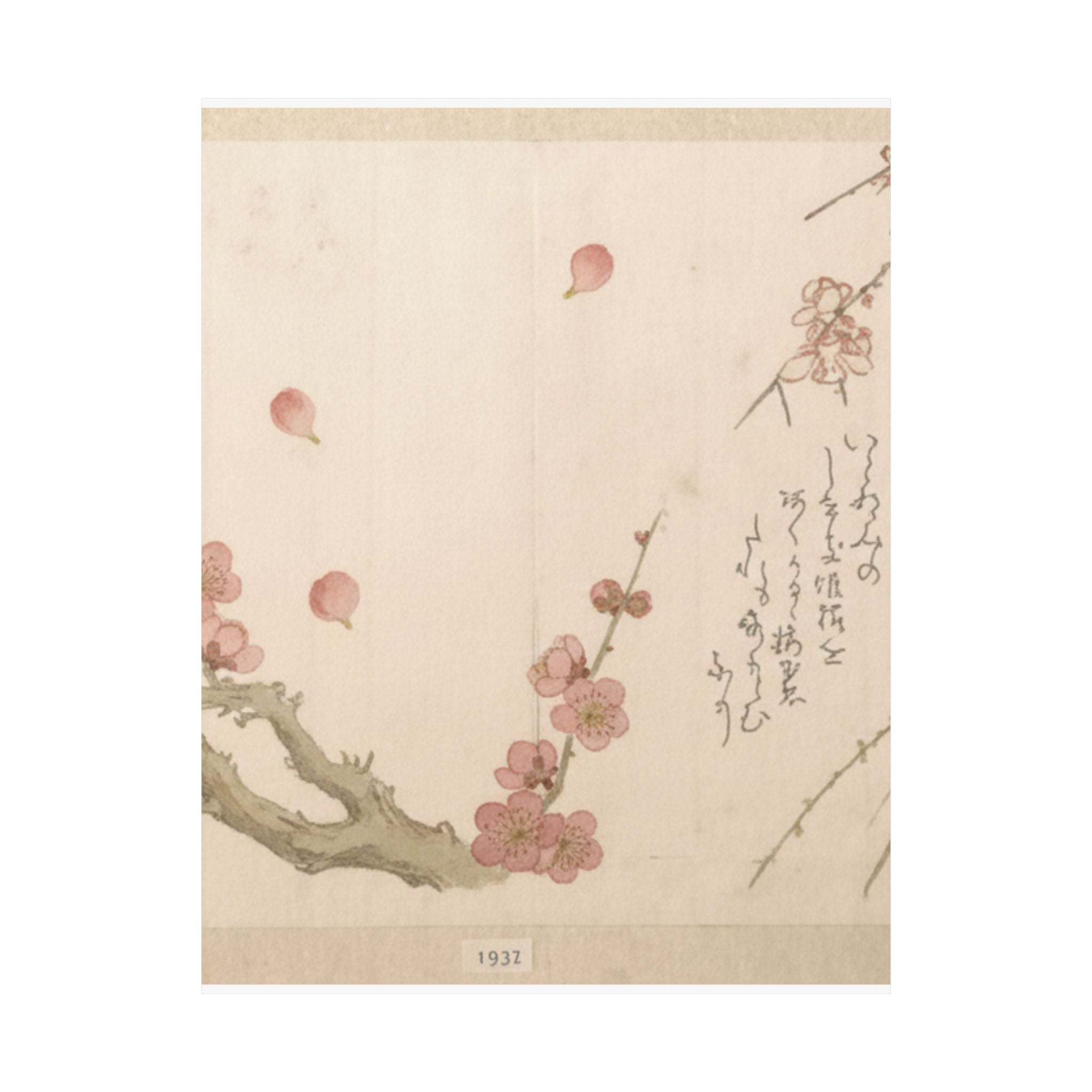 Botanical — Plum Blossom — Matte Poster