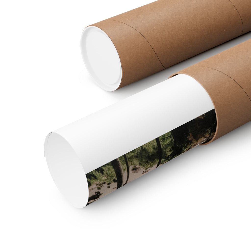 Cinematic — Palm — Matte Poster
