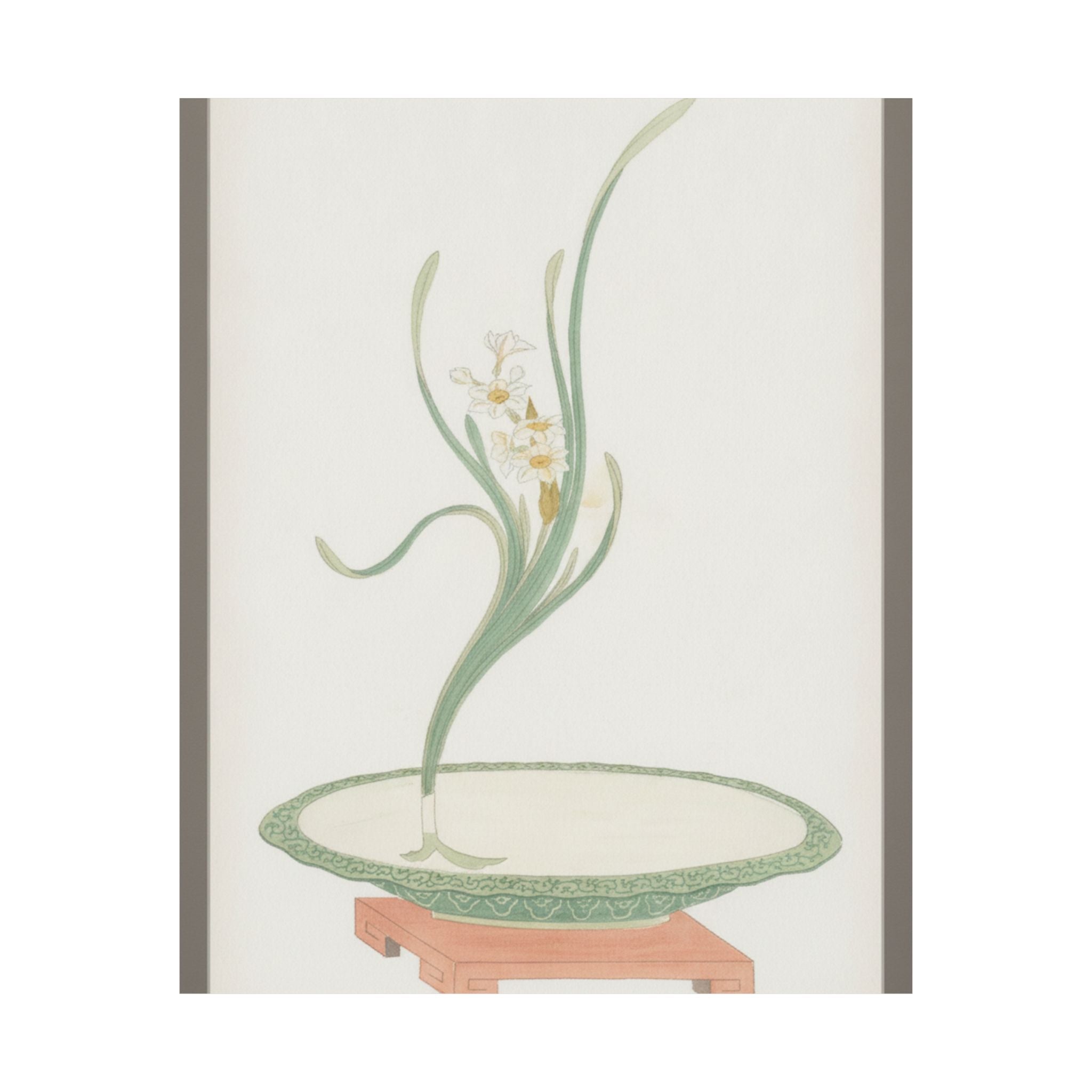 Watercolor — Flower Arrangement Of Suisen (Narcissus) In A Flat Green Dish — Matte Poster