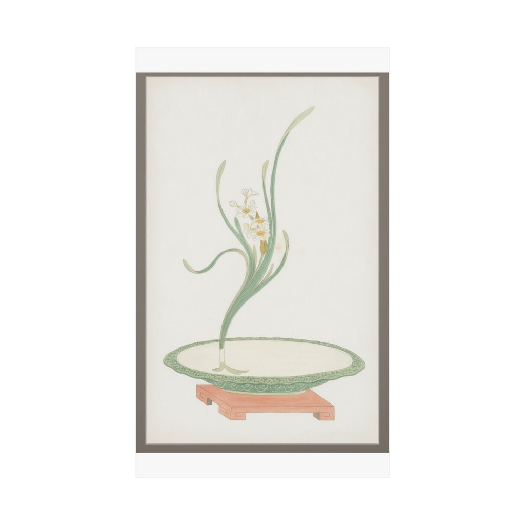 Watercolor — Flower Arrangement Of Suisen (Narcissus) In A Flat Green Dish — Matte Poster
