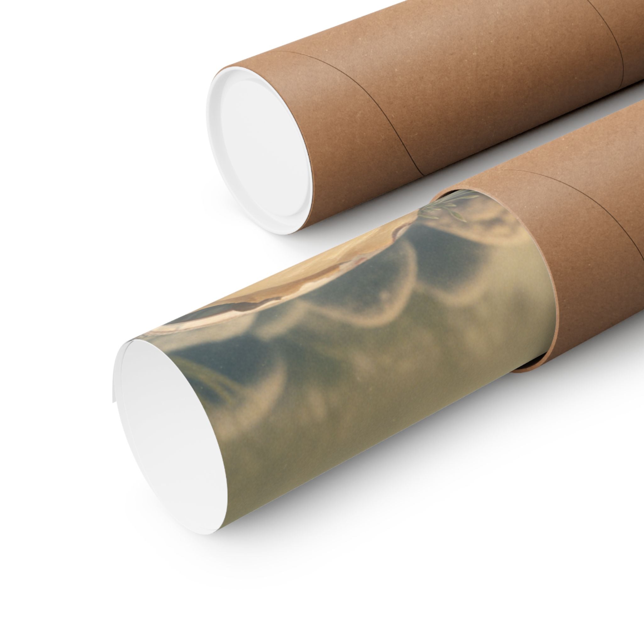 Scenic Nature — Shells Under Water — Matte Poster