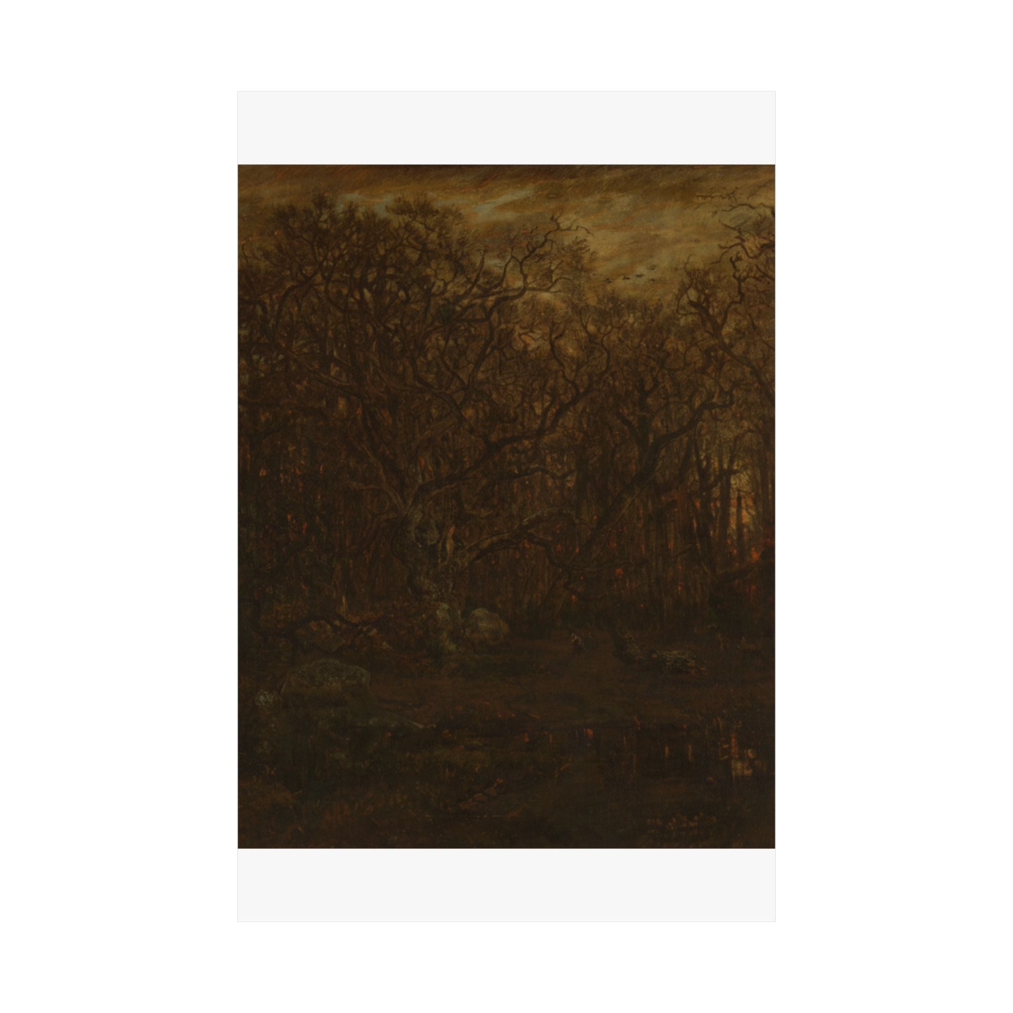Scenic Nature — Forest — Matte Poster