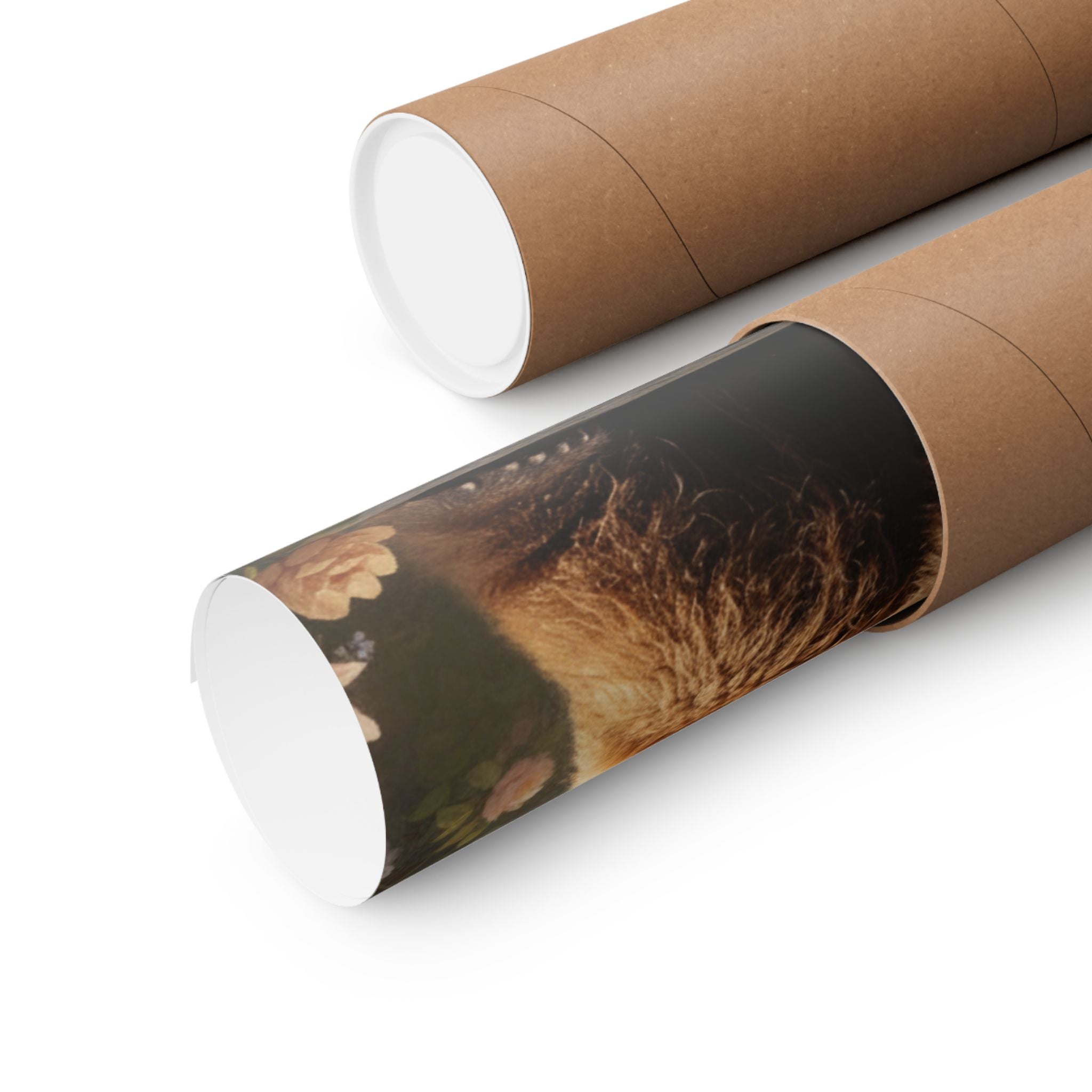 Scenic Nature — Bear — Matte Poster
