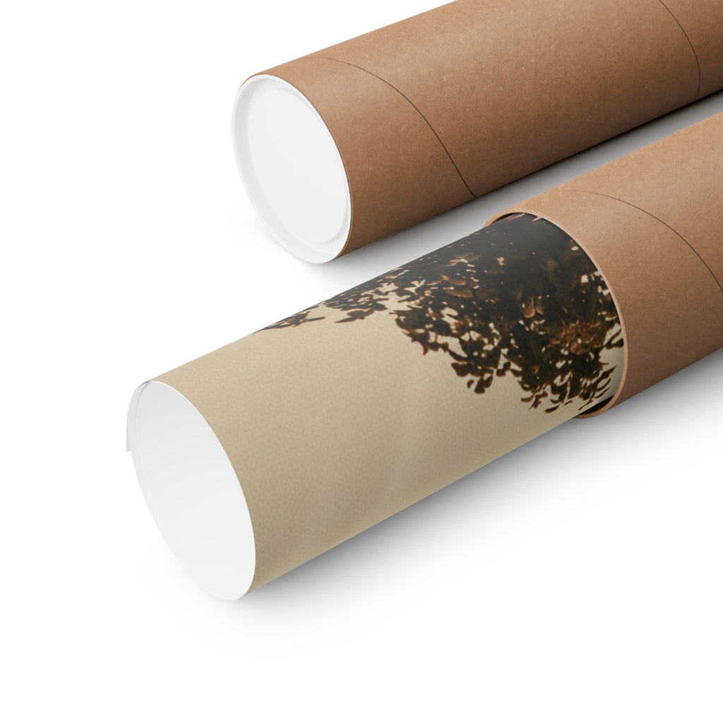 Scenic Nature — Contrail — Matte Poster