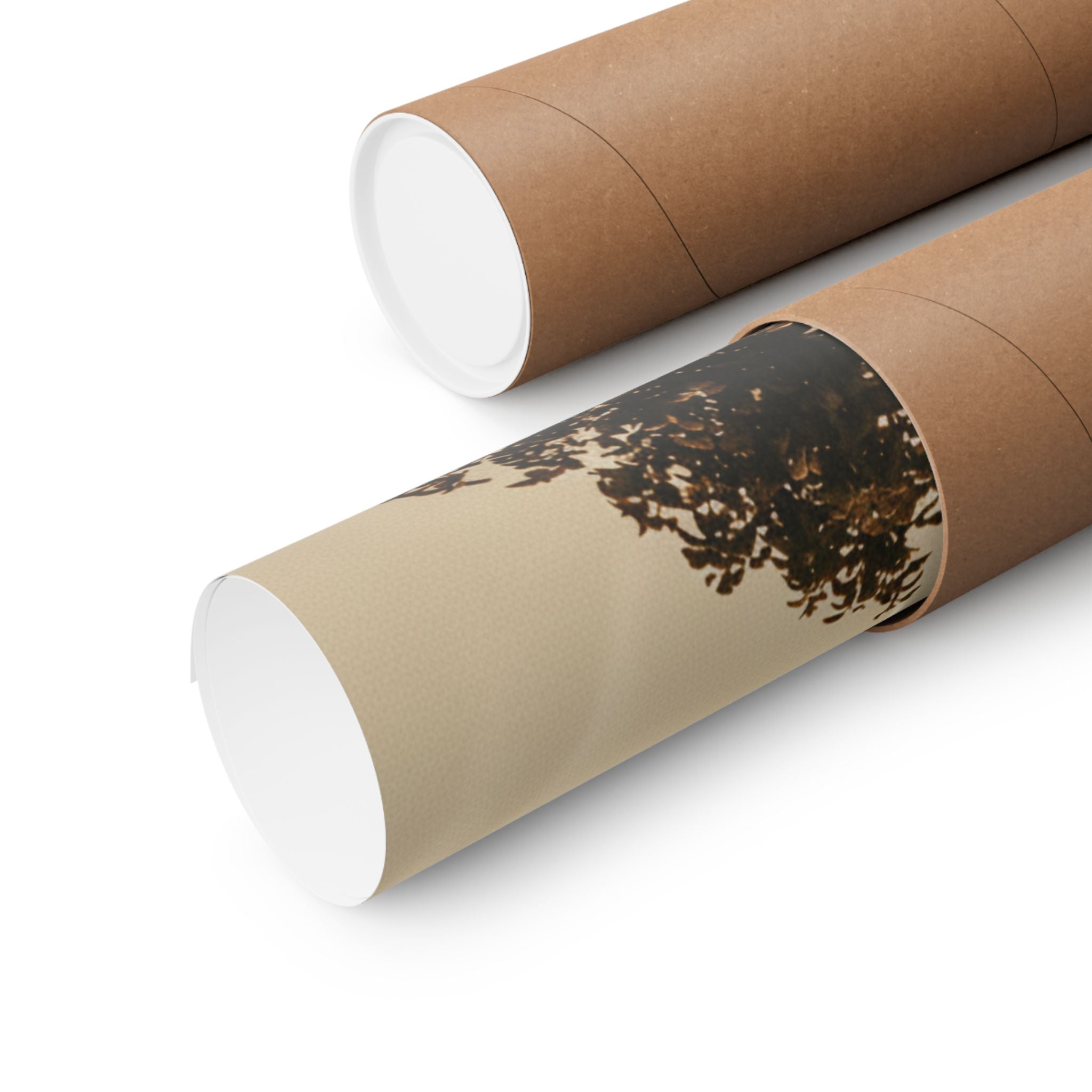 Scenic Nature — Contrail — Matte Poster