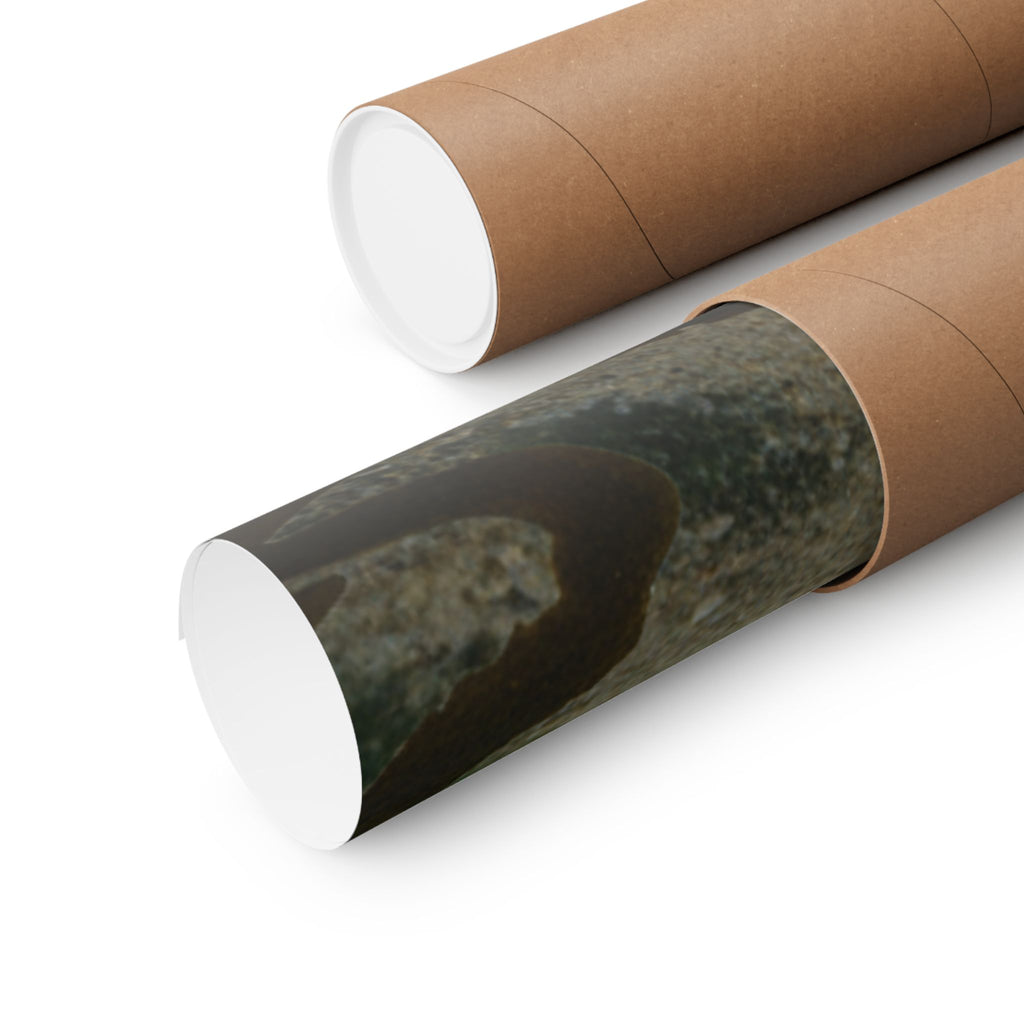 Scenic Nature — Shells Under Water — Matte Poster