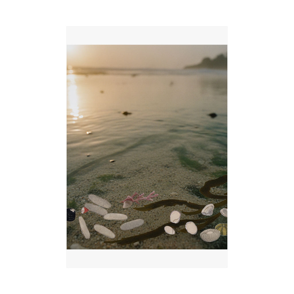 Scenic Nature — Shells Under Water — Matte Poster
