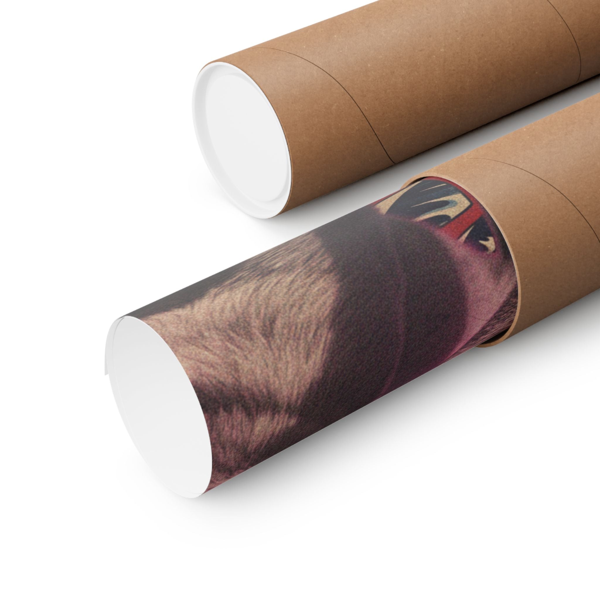 Japanese Street — Dog — Matte Poster