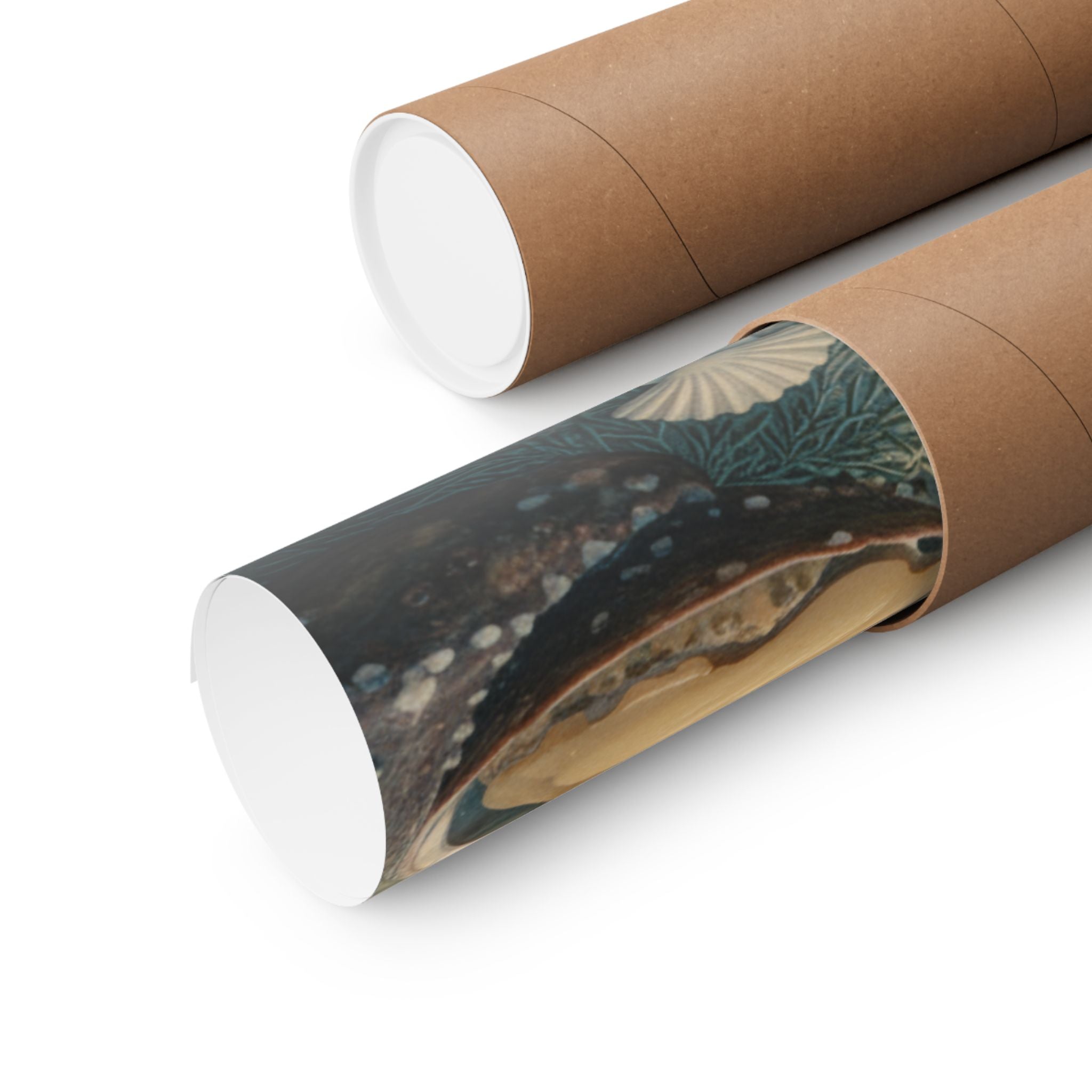 Scenic Nature — Shells Under Water — Matte Poster