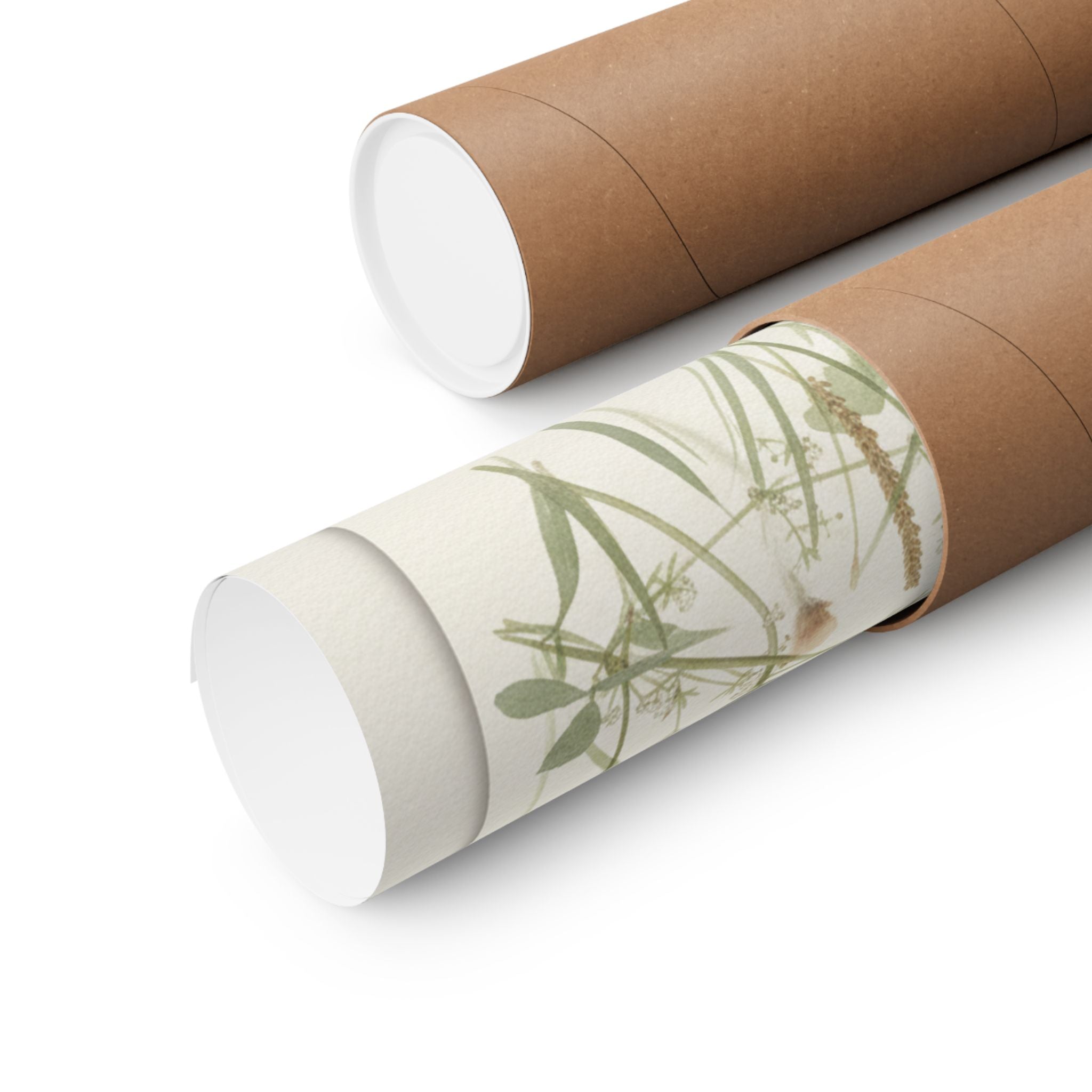 Botanical — Flower — Matte Poster
