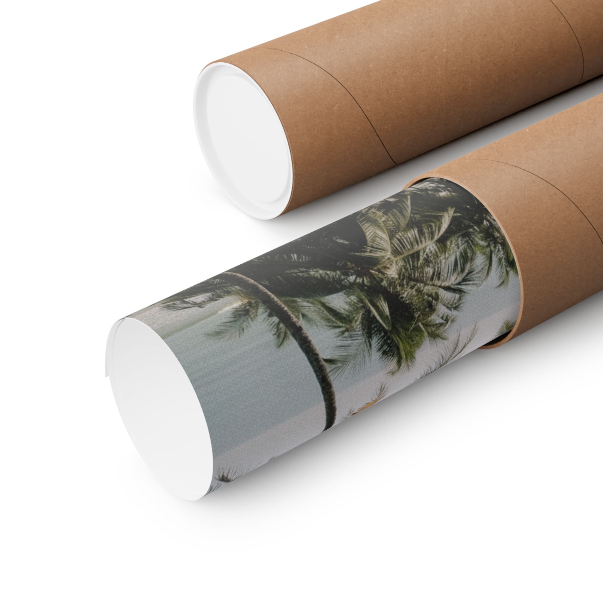 Cinematic — Palm — Matte Poster