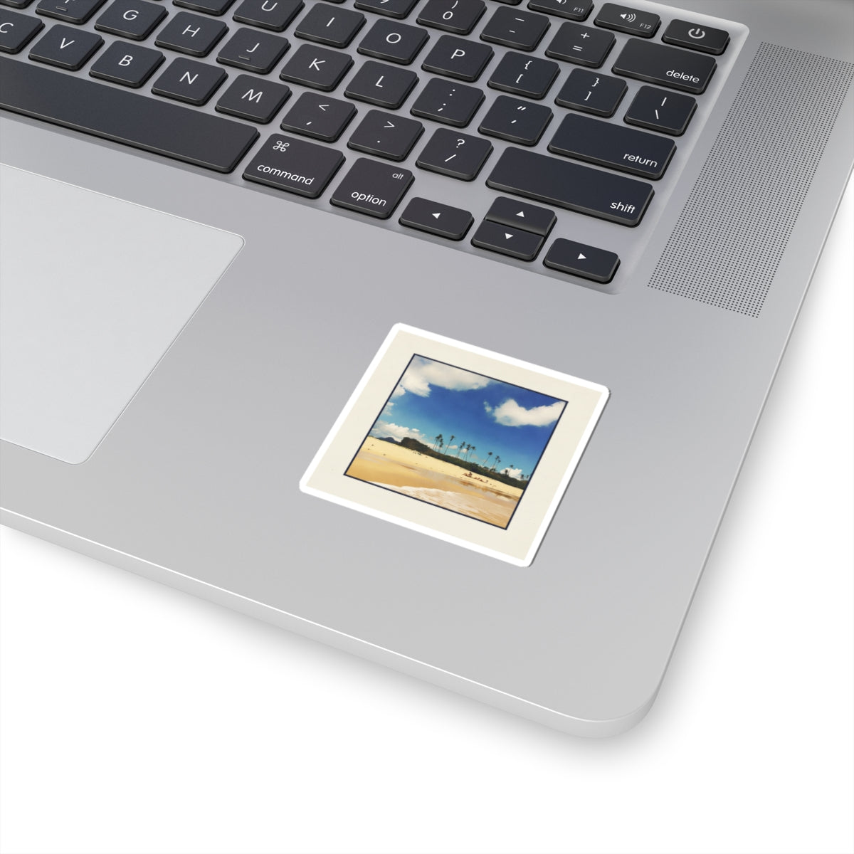 Botanical kiss-cut sticker — product view 11