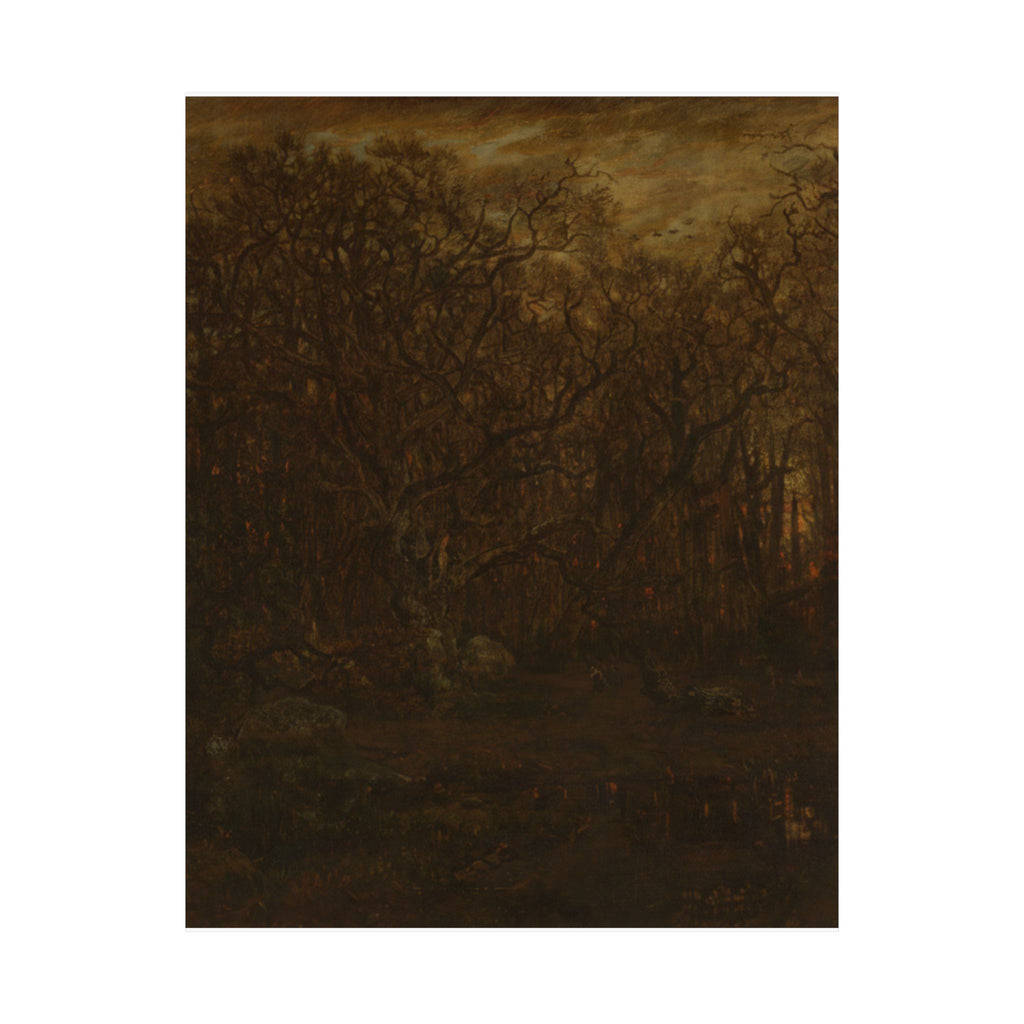 Scenic Nature — Forest — Matte Poster