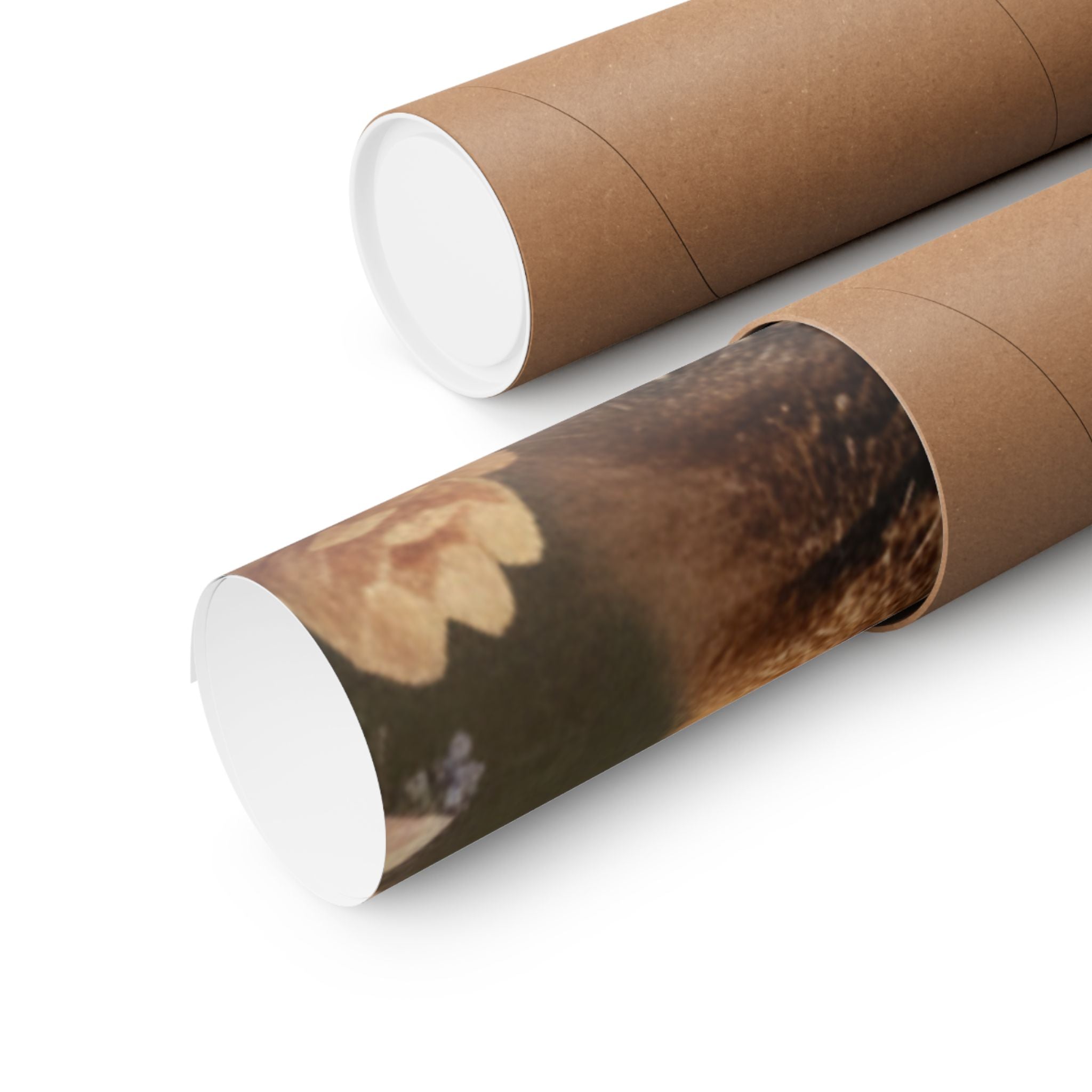 Scenic Nature — Bear — Matte Poster