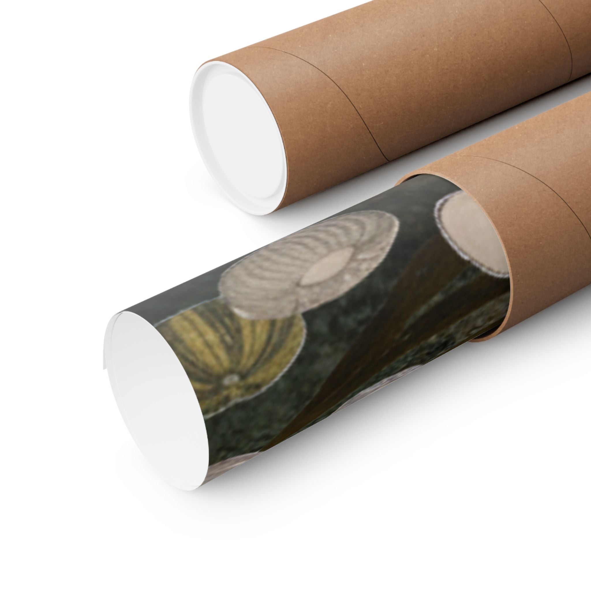 Scenic Nature — Shells Under Water — Matte Poster