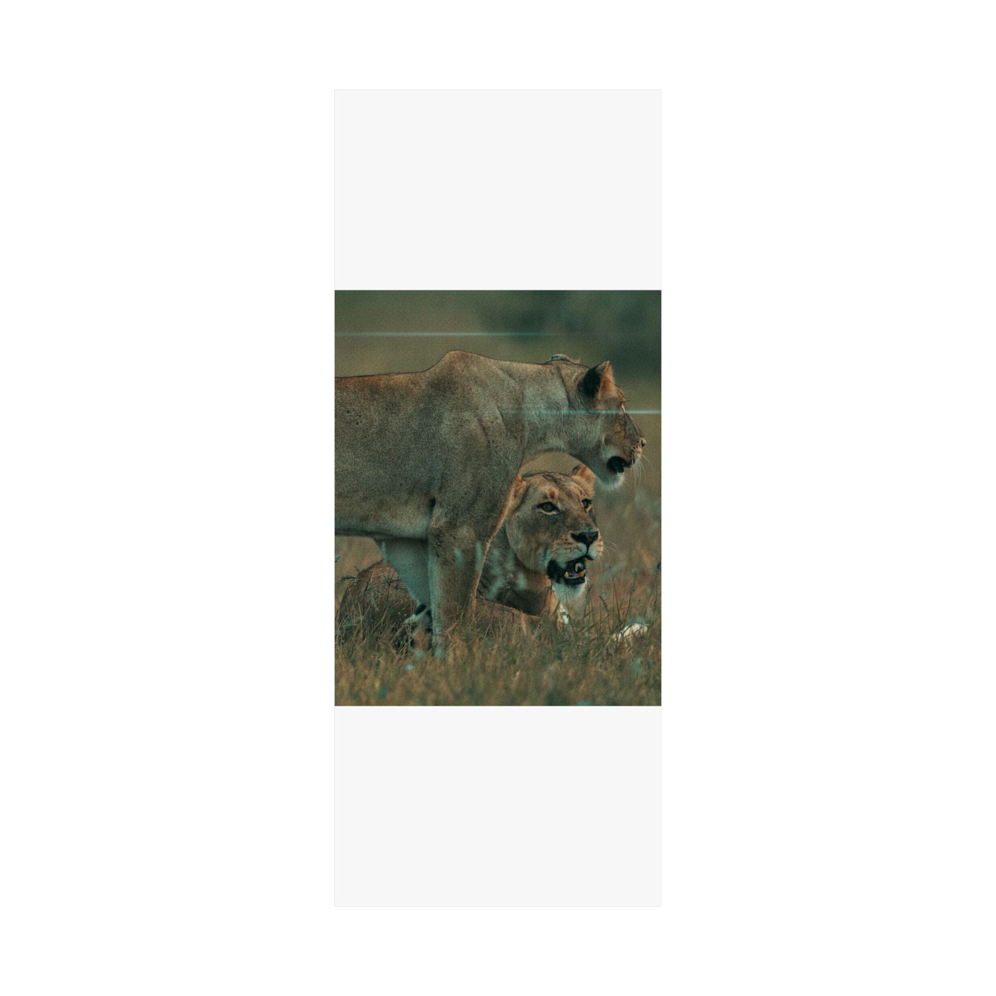 Cinematic — Lions — Matte Poster