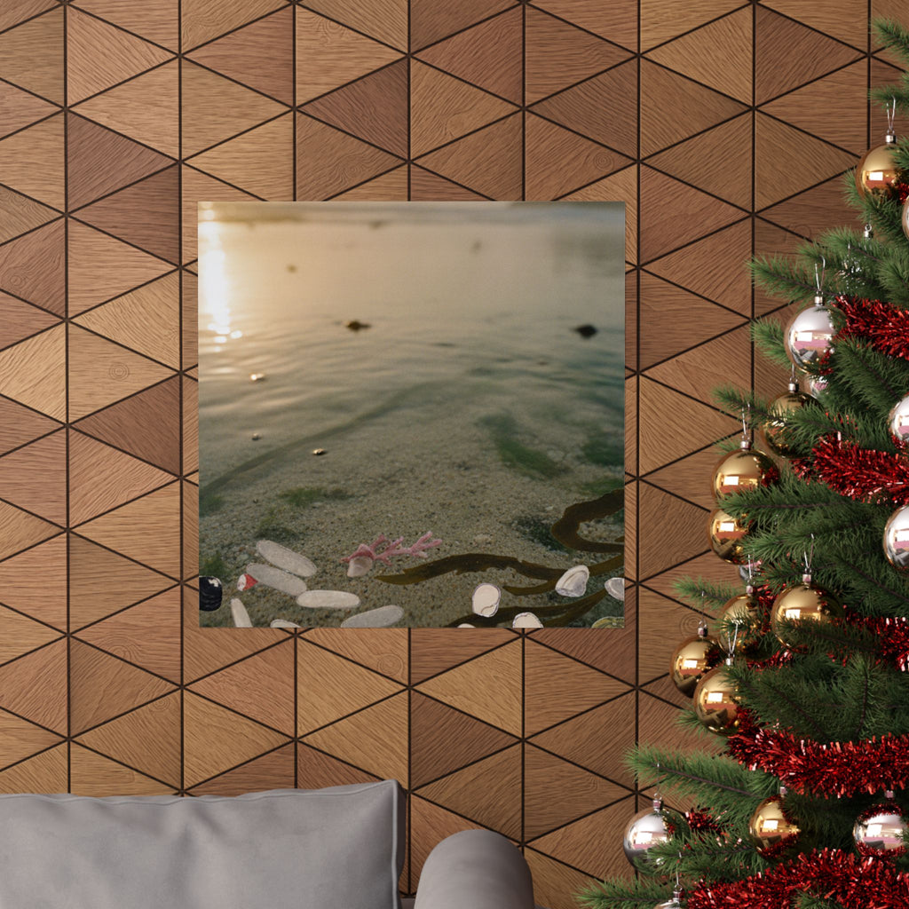 Scenic Nature — Shells Under Water — Matte Poster