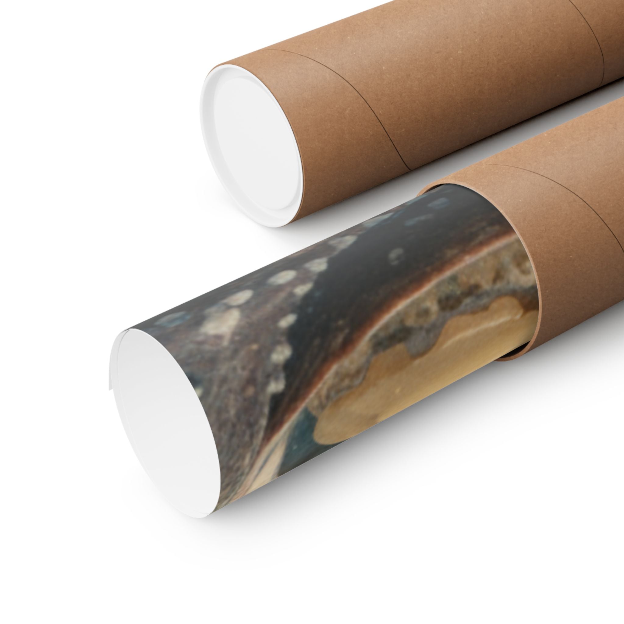 Scenic Nature — Shells Under Water — Matte Poster