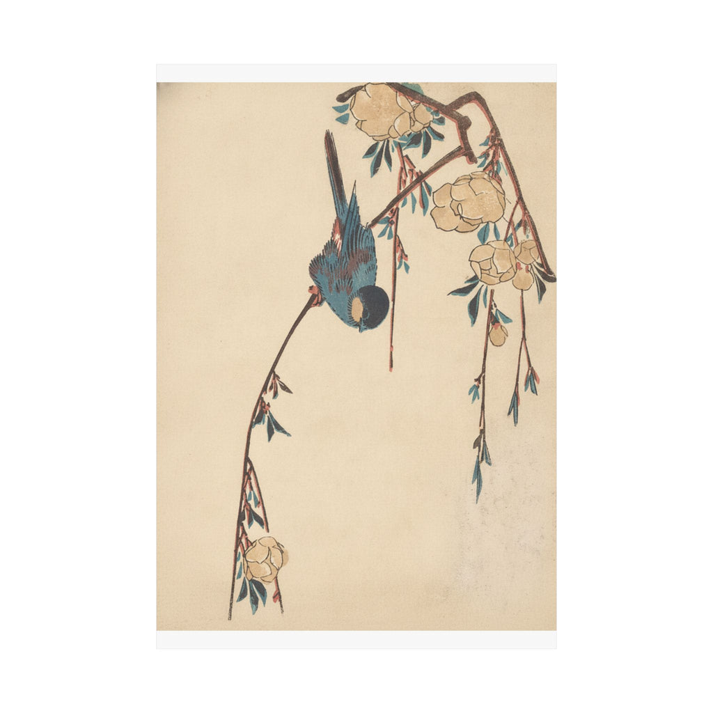 Botanical — Weeping Cherry — Matte Poster