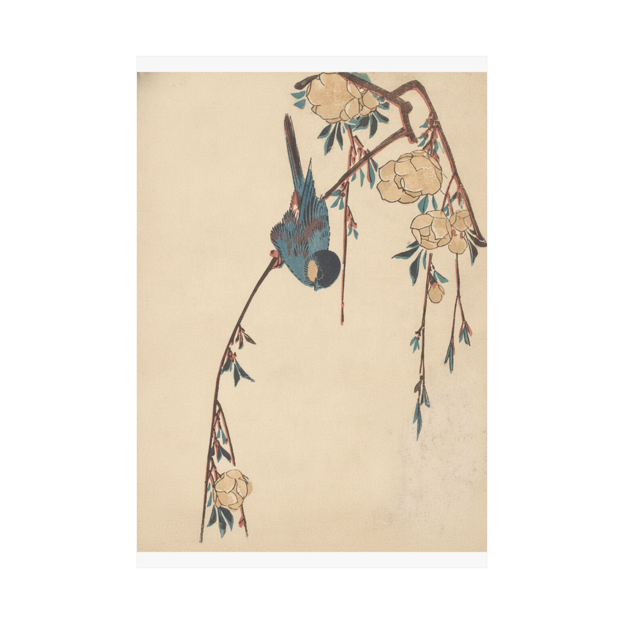 Botanical — Weeping Cherry — Matte Poster