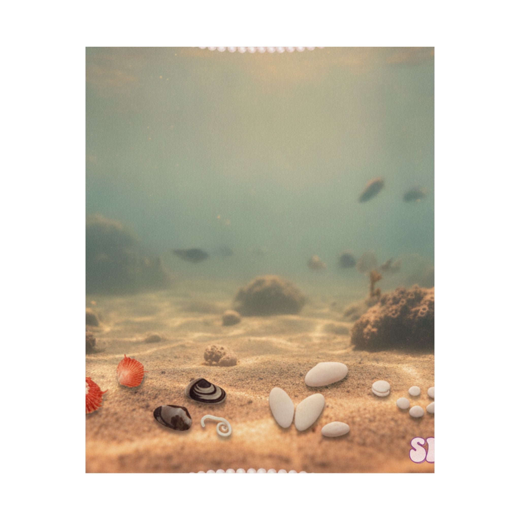 Scenic Nature — Shells Under Water — Matte Poster