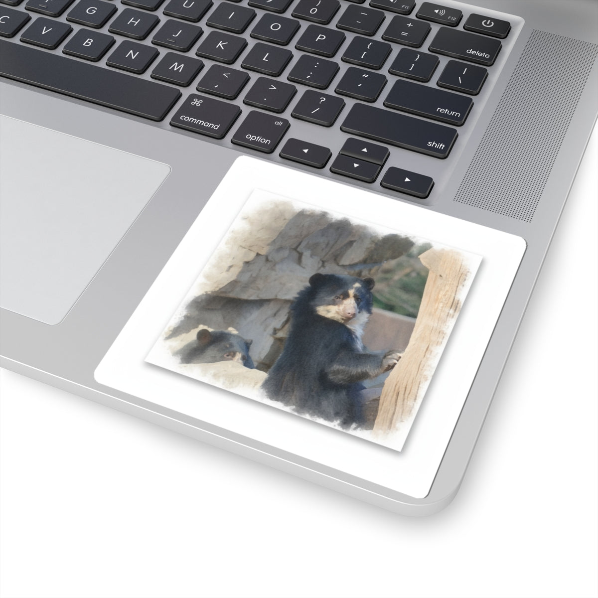 Watercolor — Bear — Kiss-Cut Sticker