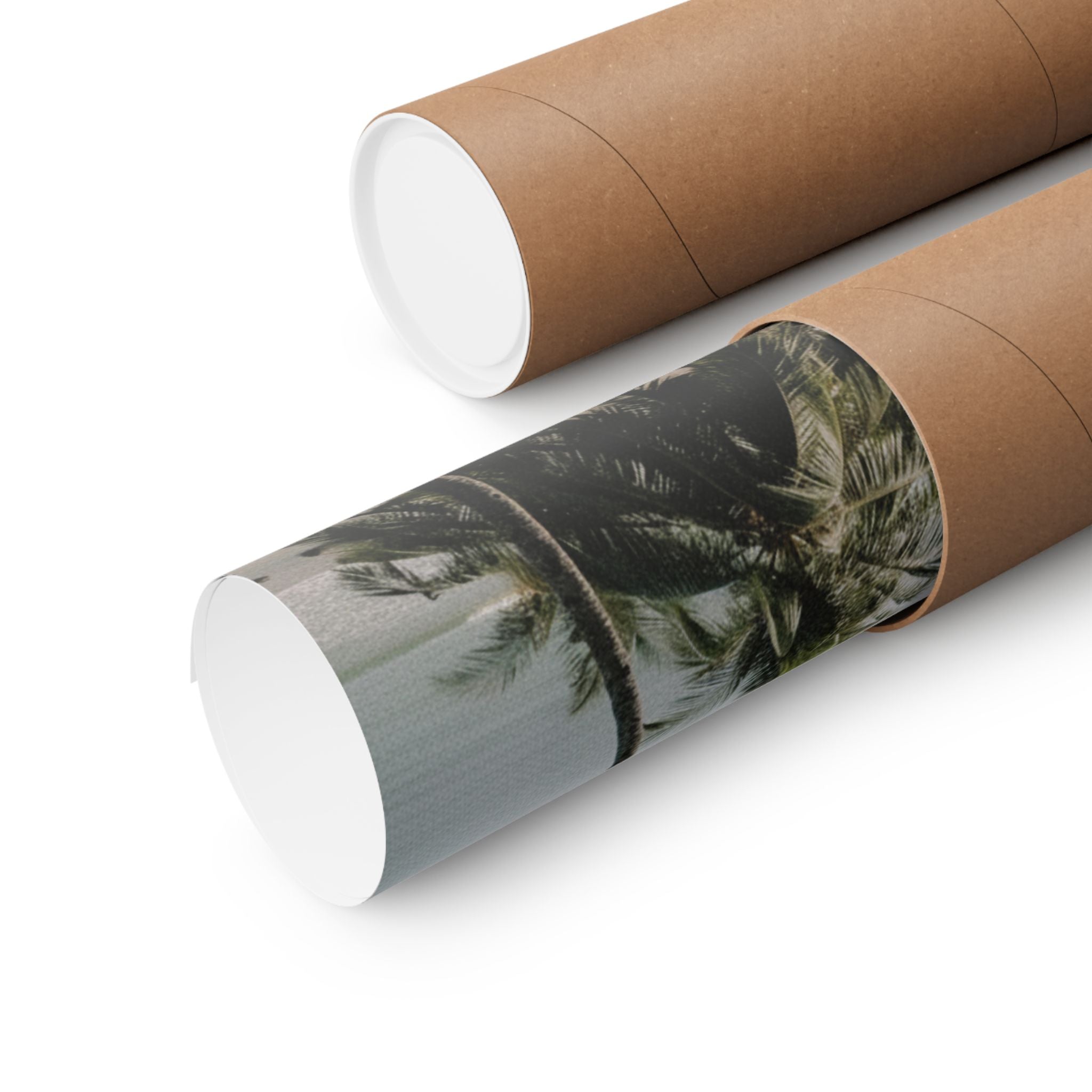 Cinematic — Palm — Matte Poster