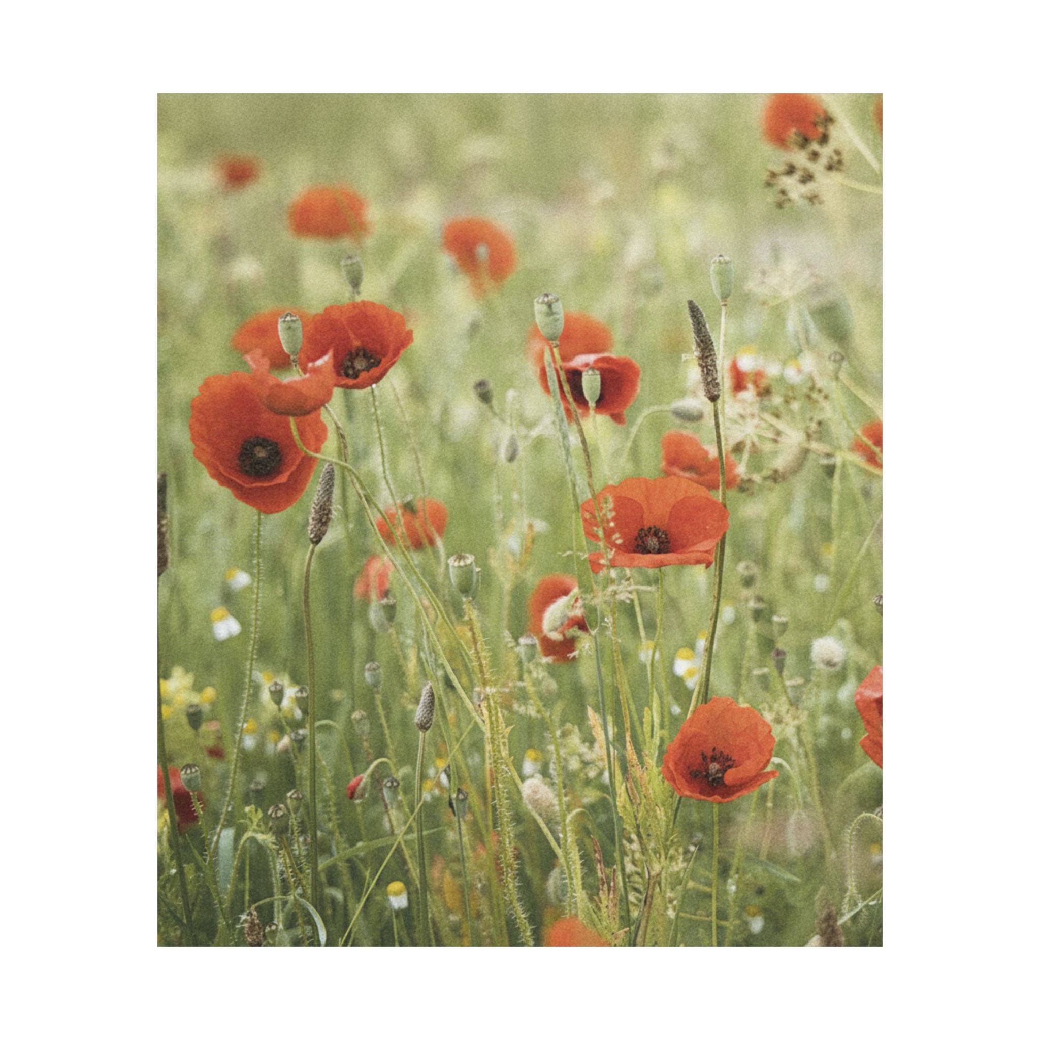Watercolor — Flower — Matte Poster