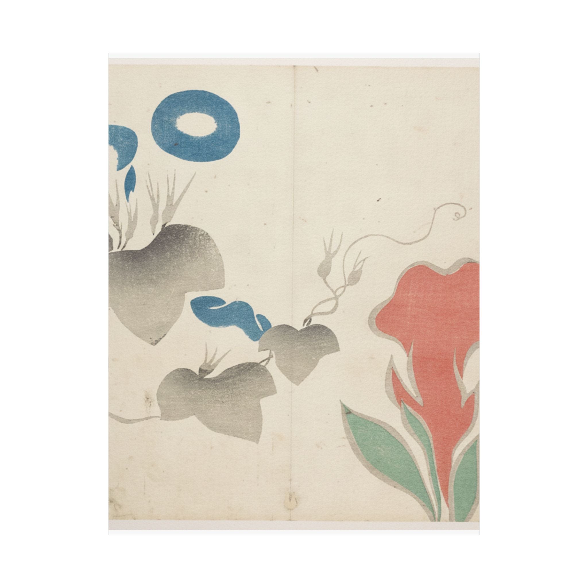 Watercolor — Design Of Morning–Glory And Other Flowers — Matte Poster